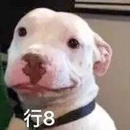 娱乐圈吃瓜公众号微信,揭秘那些不为人知的幕后故事!